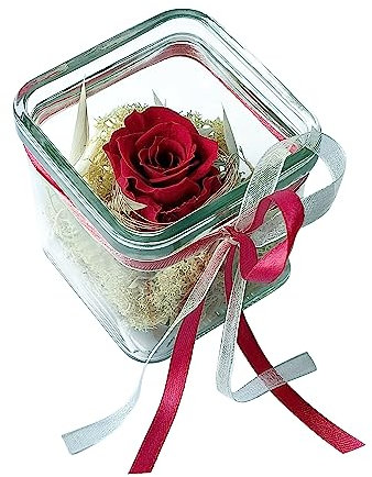BEIJA FLOR Handgefertigte konservierte Rose im Glaswürfel 8 cm - Echte Ewige Rose - 3 Jahre haltbar - stilvolle Dekoration mit Infinity Rose - Geschenk für jeden Anlass – Made in Germany (Bordeaux)