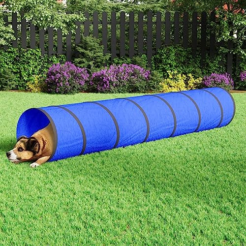 Generico Tunnel per Cani Blu Ø 50x300 cm in Poliestere,Giochi e Giocattoli,Attrezzatura Gioco per Esterni,Tende e Tunnel giocattolo-172190