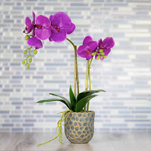 QUI-LO Perennial Gardens 22 H Artificial Orchid Flowers, Fake Orchid Pot, Artificial Phalaenopsis Orchid Natural Looking Silk Orchid Fake Flowers (Rose)