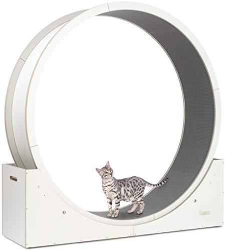 Elmato Katzenlaufrad Simba L & XXL ca. 120 cm / 140 cm in weiß/beige & grau/meliert (beige, 140 cm)