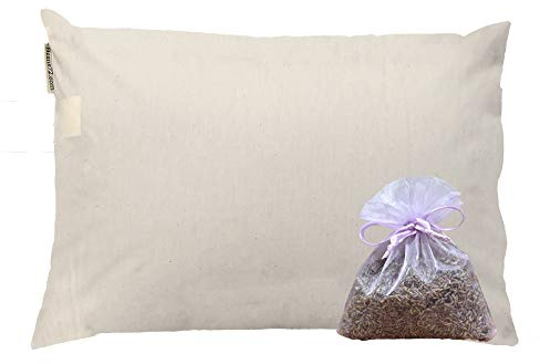 Beans72 Organic Aromatherapy Buckwheat Pillow - Travel/ Child Size (11 inches x 16 inches)