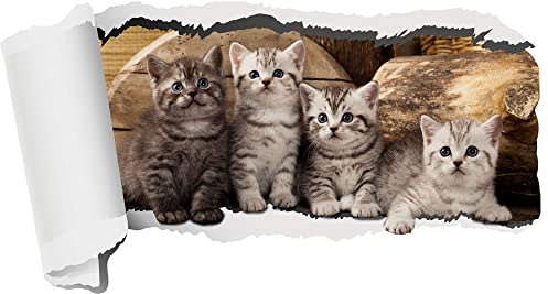 GRAZDesign Wandtattoo Katzen, Kleine Katzen, Babykatzen, Wandaufkleber für Wohnzimmer Kinderzimmer Tapete selbstklebend (74x40cm)