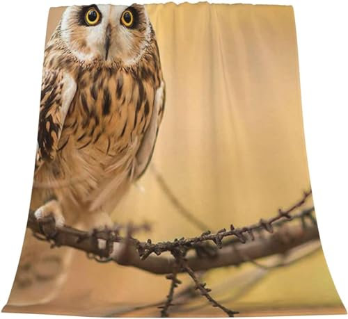 Kuscheldecke 130 x 150 cm 3D Eule Decke Flanell Fleecedecke Weich Warm Flauschig kuscheldecken Eule Wohndecke Decken für Sofadecke Couchdecke, Kinder Erwachsene M773