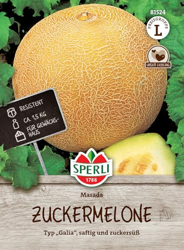 Sperli Zuckermelonensamen Masada F1 81524, Saatgut | Resistent gegen Fusariumwelke, ertragreich