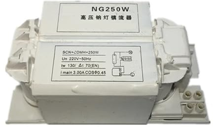 balasto electrónico Lámpara de sodio de alta presión, accesorios de iluminación, rectificador dedicado, balastro electrónico, 150W, 250W, 400W, 1000W(250W)