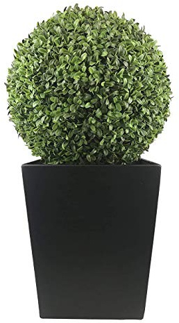 GreenBrokers Buchsbaumkugeln