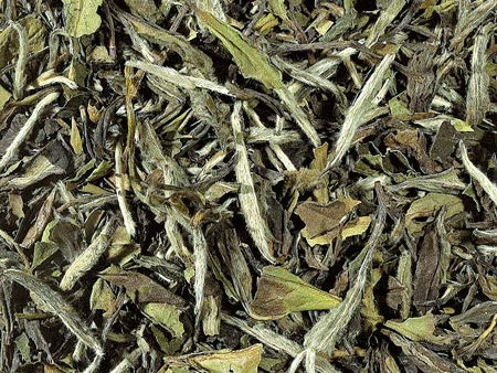 1 kg - BIO - Weißer Tee China k.b.A. Pai Mu Tan DE-ÖKO-006