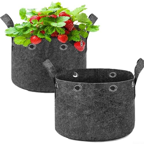 BlesConi Lot de 2 sacs de culture en tissu non tissé pour pommes de terre, carottes, tomates, concombres, plantations de jardin (5 gallons)