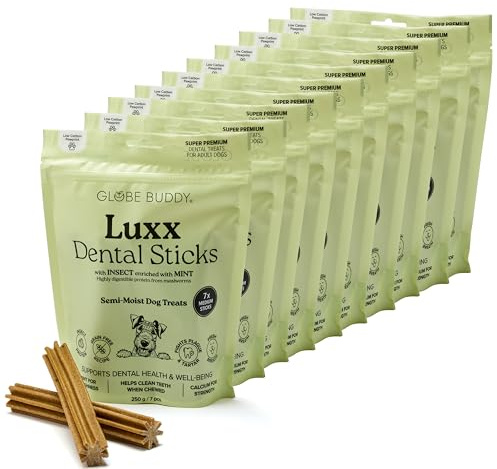 Globe Buddy Luxx Dental Sticks für Hunde, 10er Pack – Getreidefreie Kausticks mit Insektenprotein, Minze & SHMP – Reduziert Plaque & Zahnstein – 70 Premium Zahnpflege-Snacks (10 × 250g)