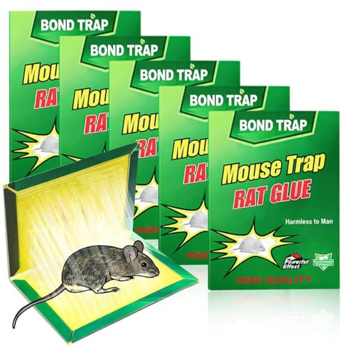 5 Pezzi Nuova Edizione Trappola Adesiva per Topi, Professionale Trappola per Colla Ratti per topino, Topo, Topolino, topolini, Ratto, Mouse - Rimozione efficiente dei roditori (31cm x 21cm)