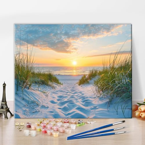 TISHIRON Måla efter siffror-kit för vuxna, kust solnedgång målning efter nummer kit på duk, sand, gräs och havsvågor gör-det-själv färg oljemålning strand och himmel, hem väggdekor 40 x 50 cm