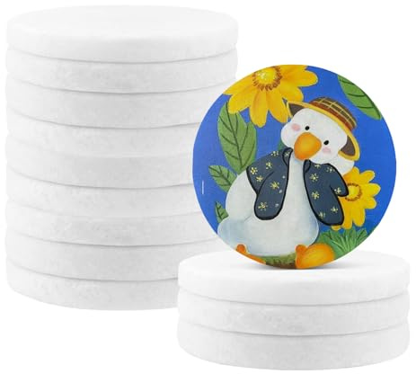 white Round Painting Pebbles, 12PCS Flat Rocks Stones, 65mm Diameter