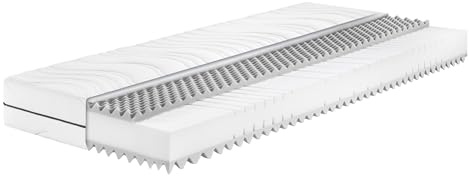 Badenia Trendline BT260 7-Zonen Kaltschaummatratze, Stiftung Warentest Testurteil GUT Ausgabe 03/2022 , Härtegrad 2 (H2 - weich), 100 x 200 cm, Öko-Tex Zertifiziert