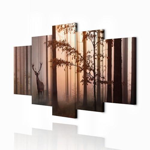 decomonkey Wandbilder Tiere 200x100 cm 5 Teilig Wandbild Groß Wohnzimmer | Leinwandbild XXL, Deko, Schlafzimmer, Büro, Wanddeko, Leinwand, Pictures For Wall, Poster, Wall Painting, Set, Natur