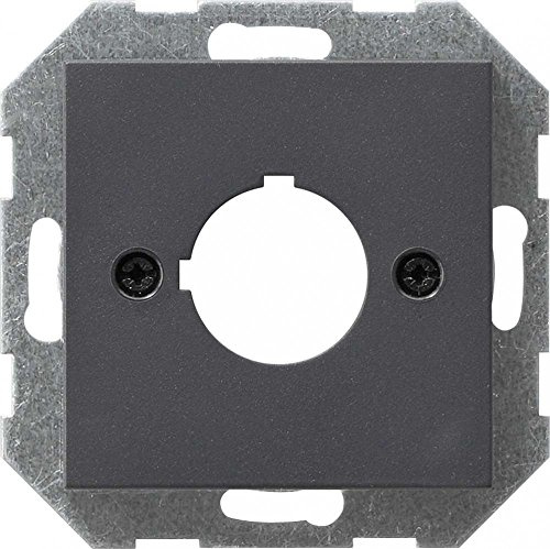 Gira 027228 Abdeckung und Tragring Geräte mit 22.5 mm System 55, anthrazit