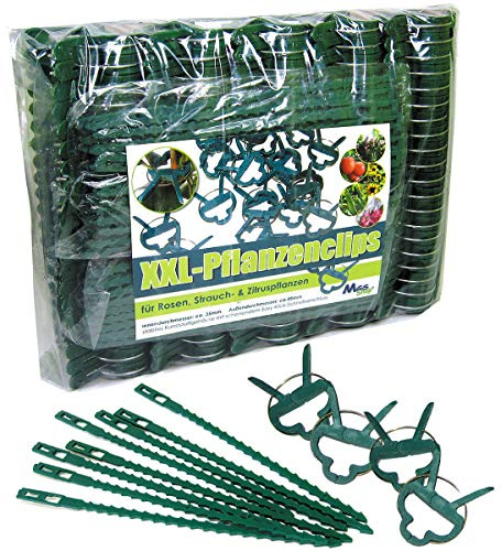 Pflanzenclips 180 Stück stabile Clips Pflanzenklammern für kleine & große Triebe Spaliere Rosenbögen Rankhilfen (180er-Set XXL+)