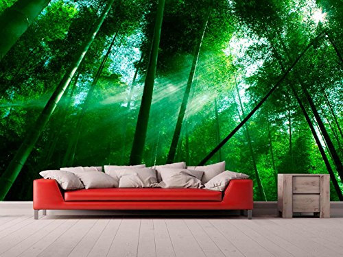 Fotomural Vinilo Pared Bosque Bambú | Fotomural para Paredes | Mural | Vinilo Decorativo | Varias Medidas 400 x 300 cm | Decoración comedores, Salones, Habitaciones.