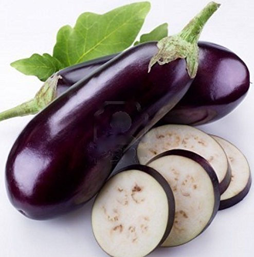 Semi Melanzane, Lungo Viola, Heirloom Melanzane, Non OGM, Oriental Melanzana 35CT:Semi