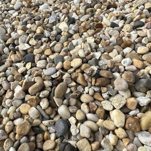 World PLANTIL Gravilla Canto Rodado Amarilla/Grava de Jardín/Piedra Natural/Saco 20 kg/Piedra decorativa/Exterior - interior (10/16 mm)