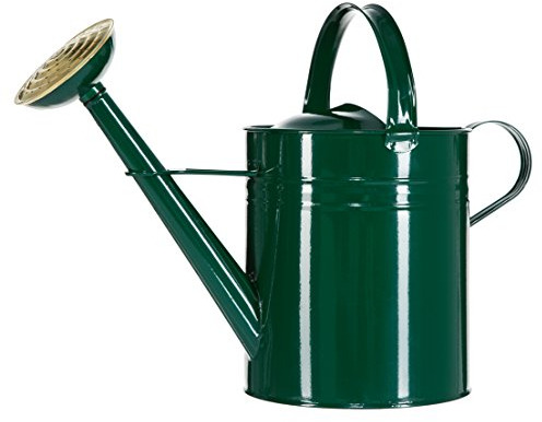 Dehner Gießkanne nostalgisch, 9 l, ca. 48 x 37 x 21 cm, Zink, grün