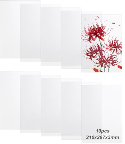 YOUNTHYE 10 pannelli in plexiglass 210 x 297 x 3 mm, fogli acrilici trasparenti A4, spessore 3 mm, per cornici fotografiche, esposizioni di progetti, pittura, pittura