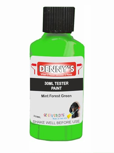 Premium Interior Wall & Furniture Chalk Paint – Mint Forest Green – Rich Matt Finish, Durable & Washable, Low Odour, Ideal for Living Rooms, Bedrooms & Hallways (30ML Tester Bottle)