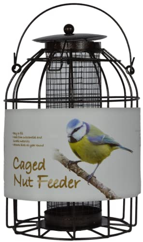 Green Jem Dome Caged Peanut Wild Bird Feeder, designad för att avgöra ekorrar och även större trädgårdsfåglar som duvor och duvor, hammerton