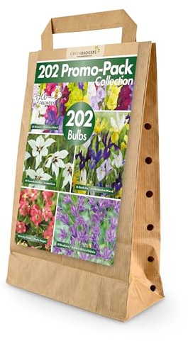 Bulbi misti a fioritura estiva, 202 bulbi in 5 varietà, adatti a api e farfalle, confezione ecologica, qualità premium