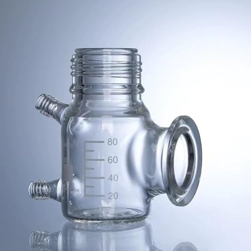 Scatola for batterie elettrochimiche chimiche microbiche del reattore MEC di tipo II da 100 ml - Vetro borosilicato ad alte prestazioni