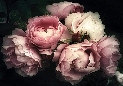 WallArena Vlies Fototapete, Blumen, 254x184cm | Fototapeten - Tapeten - für Wohnzimmer Schlafzimmer - Vliestapete Wandtapete Tapete 3D Effekt- inkl. Kleister