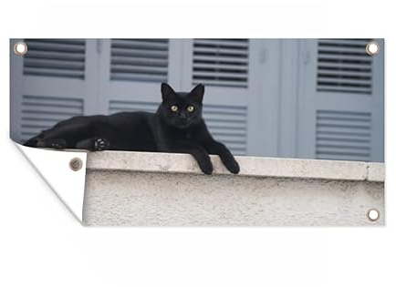 Outdoor-Poster Poster Wanddeko draußen Deko Garten Gartenposter 80x40 cm Katze - Schwarz - Fensterläden - Mädchen - Kinder - Jungen - Kind