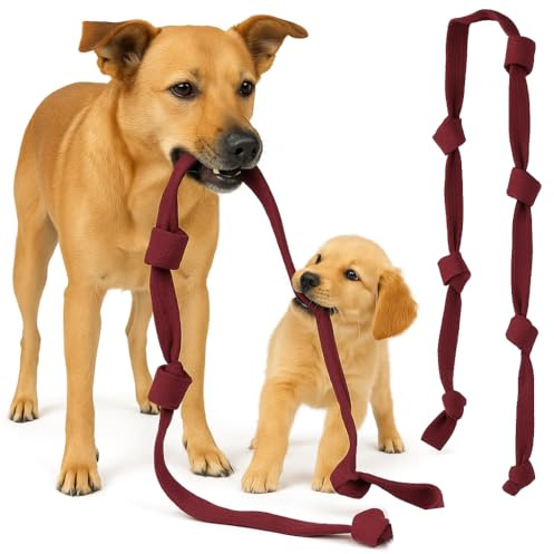 BAY ZerrX Hundespielzeug 280 cm Gurt Seil viele Knoten Tau Zerrspielzeug Hunde zum Zerren und Ziehen Kraft messen Kraftspiele Für kleine mittlere und groß Hunde