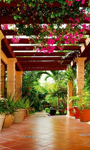 Fotomural TERRAZA 150 x 250 cm | Papel Pintado Fotográfico - tejido no tejido | CALIDAD PREMIUM - HECHO EN LA UE - Incluye pegamento para papel tapiz