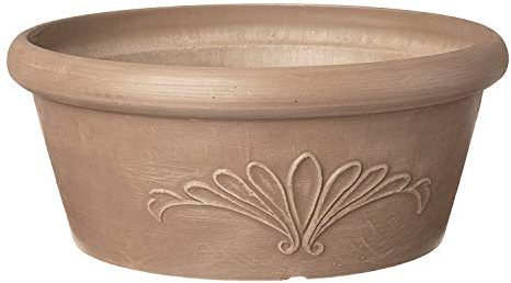 Arcadia Garden Products PSW Pot Collection Bassine Peu Profonde pour Plantes Grasses, bonsaï, Jardins féériques, Herbes aromatiques, Taupe 25,4 cm