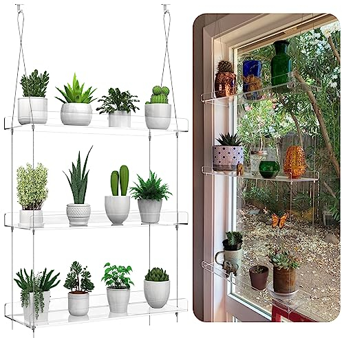 ZerzSemp Estantes colgantes transparentes para plantas, estante de pared de acrílico de 3 niveles para ventana de cocina, jardines interiores, flores, suculentas, hierbas, organización de plántulas y