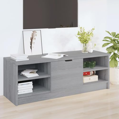 HETFTJN TV-Schrank Lowboard Grau Sonoma 102x35,5x36,5 cm aus Holzwerkstoff, Modernes Sideboard mit Stauraum & robuster Oberfläche, Fernsehtisch für Wohnzimmer & Schlafzimmer
