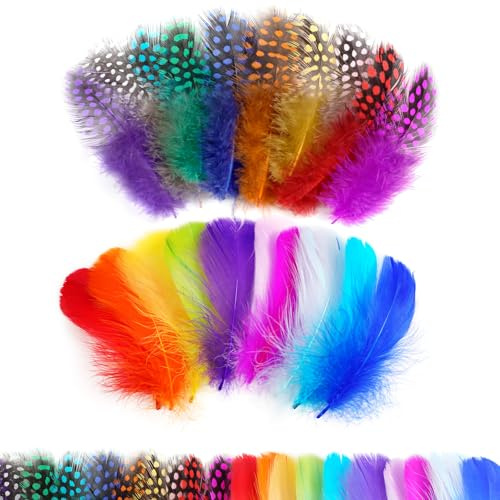 AOOTE Deko Bastelfedern, 300 Stück Bunte Federn, Bunte Federn Natürliche, Bastelfedern für Ohrringe, DIY Handwerk, Traumfänger, Kopfschmuck, Hochzeit Dekoration, Weihnachten Party, Ostern