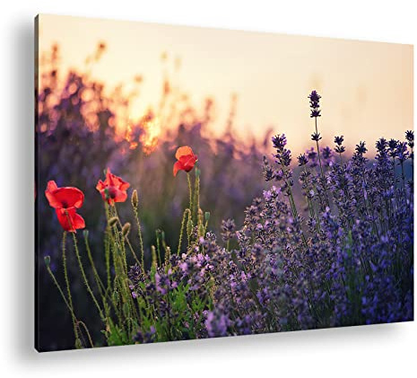Leinwandbild Lavendel und Mohn – blühender Traum Format: 100x70 cm XXL Kunstdruck Bild auf Keilrahmen/Wandbild/Wohnzimmer Deko