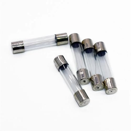 100 Stück 5 x 20 mm schnelle, flinke Glasrohrsicherungen, sortiertes Kit, flinke Glassicherungen, 1 A, 2 A, 3 A, 5 A, 6 A, 8 A, 10 A, 12 A, 15 A, 20 A/250 V, 5 x 20 mm(12A)