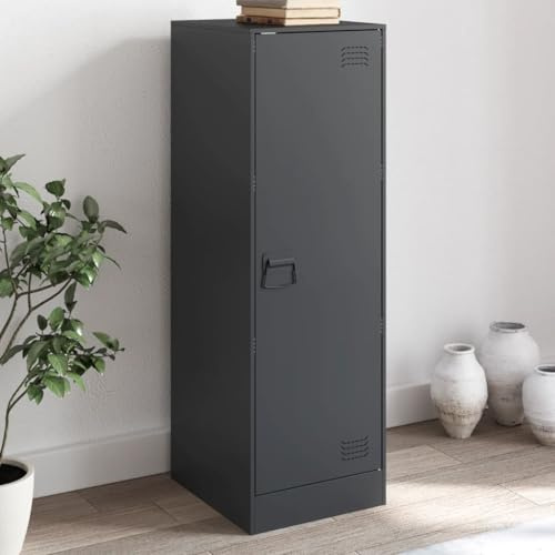 Metallschrank Wohnzimmerschrank Aktenschrank Werkstattschrank mit 1 Tür und 3 Ablagen, Mehrzweckschrank Metall Sideboard für Wohnzimmer, Anthrazit 34,5x39x107 cm
