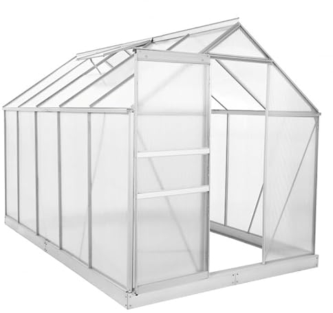 Ezooza Serre en polycarbonate alvéolaire 6 mm Leipzig 190 x 310 cm avec fondation
