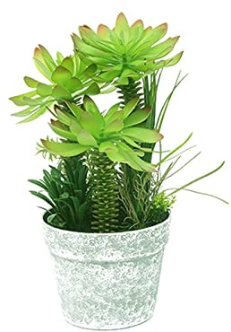 AITEKODVG Künstliche Pflanzen Künstliche Sukkulenten für den Innenbereich, tropischer Baum, künstlicher Baum, Bonsai, Mini-Agave, im Topf, für Zuhause, Schreibtisch, Regal, Veranda, Dekor, künstliche