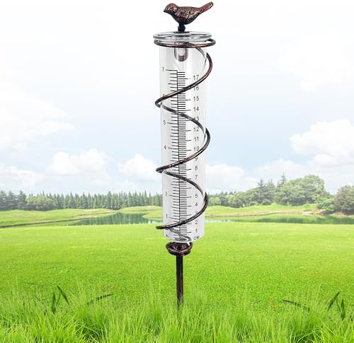 KBIBCK Regenmesser für Garten Frostsicher, Niederschlagsmesser mit Erdspieß Metall, Outdoor Regenmesser Glas Regenwassermesser,Regenmesser für Garten Regenmengenmesser für Garten Rasen Terrasse(Vogel)