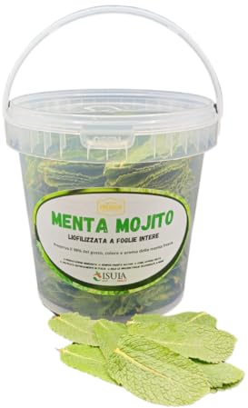 Menthe Mojito lyophilisée à feuilles entières prête à l'emploi pour cocktails et plats innovants-Préserve 98% du goût, couleur et arôme de la menthe fraîche- 100% MENTHE HIERBABUENA- (Small 1L)