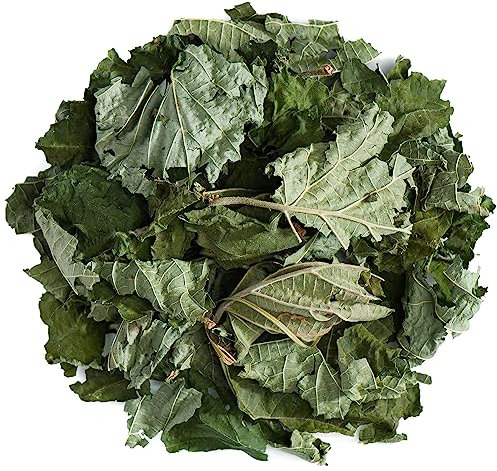 Avellana Hoja Té Orgánica - Corylus Avellana -