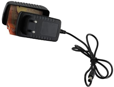 Evergreen Labs Fake Ladegerät mit Geheimversteck: Diskretes Design, sicheres Versteck, extra langes Kabel. Intelligentes Geldversteck für zuhause und unterwegs.