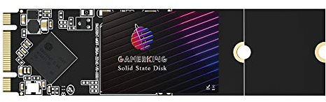 Gamerking SSD M.2 2280 64 GB NGFF Disco rigido interno a stato solido ad alte prestazioni per computer desktop SATA III 6 Gb/s M2 SSD (64 GB, M.2 2280)