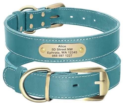 Didog Hundehalsband aus echtem Leder mit graviertem Namensschild, personalisierbar, weiches Leder, mit individuellem ID-Tag, Braun/Grün/Rot für mittelgroße und große Hunde (XXL, Blau)