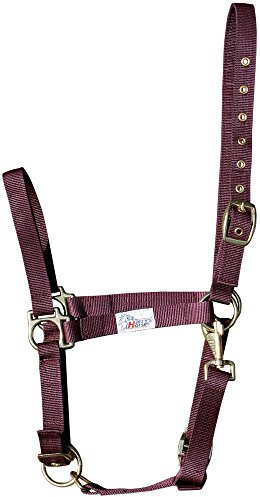 Harry' s Horse 31000410 – 08 COB halfter 3 X Regolabile – COB, M, Bordeaux