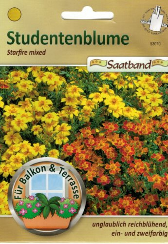 Studentenblume Starfire mixed Saatband für Balkon & Terrasse unglaublich reichblühend ein- und zweifarbig 53070